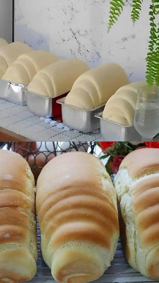 Passos Para Um P O Caseiro Fofinho Receita Deliciosa E F Cil Tem Receitinhas