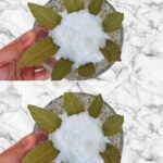 Folhas de Louro e Sal: uma mistura que vale ouro! Minha avó me ensinou a usá-lo assim! - Receita Completa