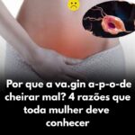 Imagem da página de origem