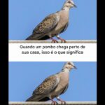 Imagem da página de origem