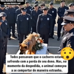 Captura de tela 2025-09-23 203216