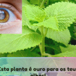 Imagem da página de origem