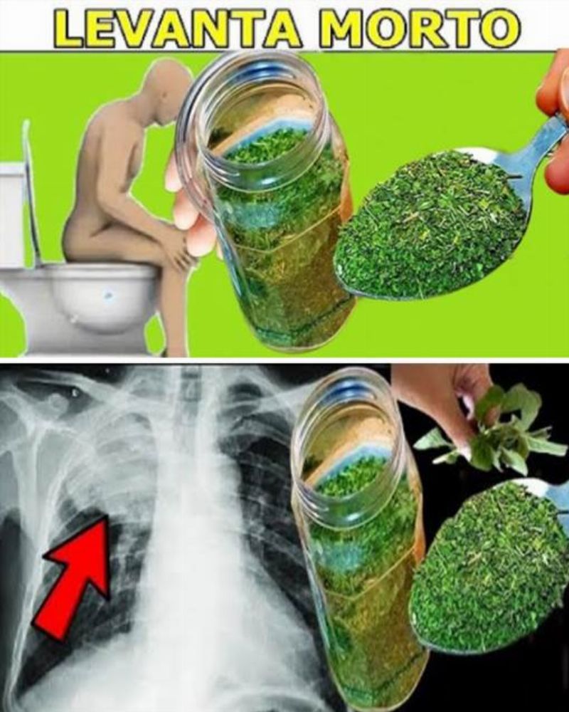Imagem da Receita