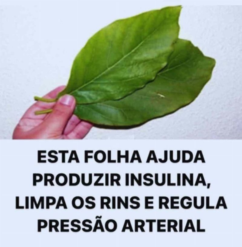 Imagem da Receita