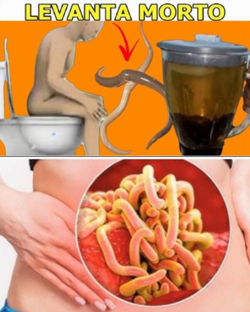 Imagem da Receita